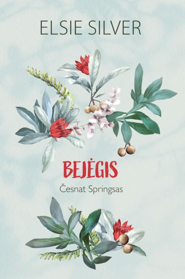 Bejėgis