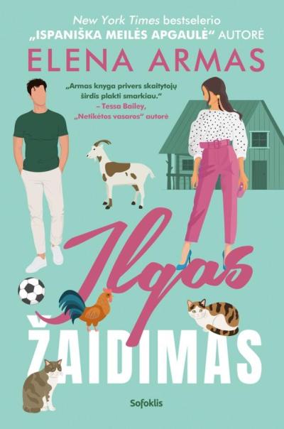 Ilgas žaidimas