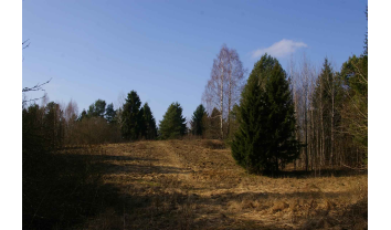 Dubravų piliakalnis, vad. Barsukalniu, Samylų sen.