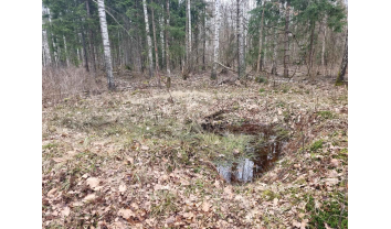 Lietuvos partizanų stovyklos vieta ir partizanų kapai, Girininkų I km. ( Žiemkelio-Revučių miško partizanų stovyklos pirmojo bunkerio vieta)