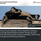 0029_28_1758185183-fe27806d1eb16bae22f186d9cb531512.png
